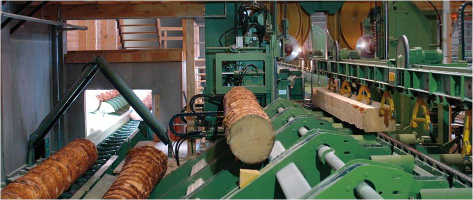 Pásová pila EWD RoboLine